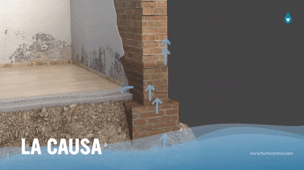 Causa y solución de humedad ascendente