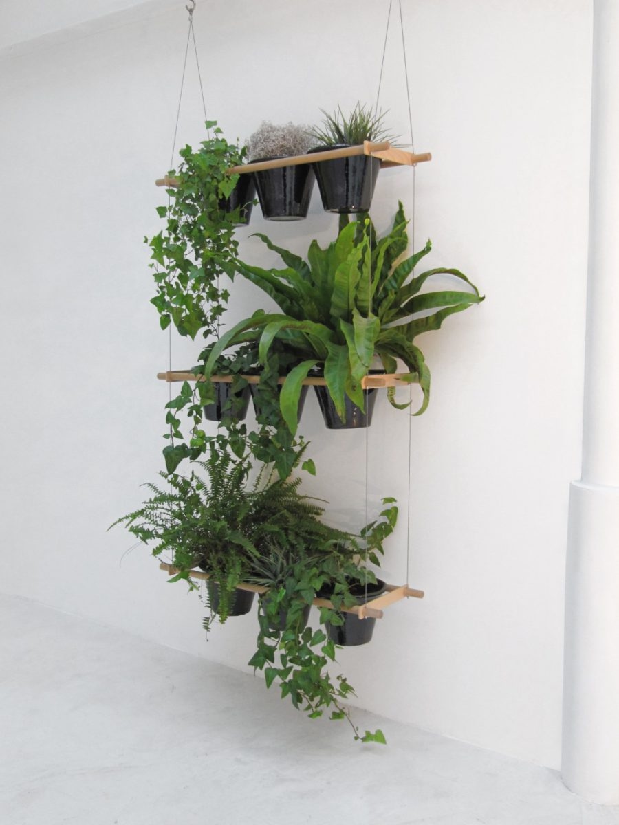 decoración con plantas