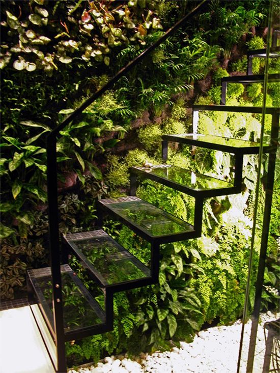 escaleras y vegetación