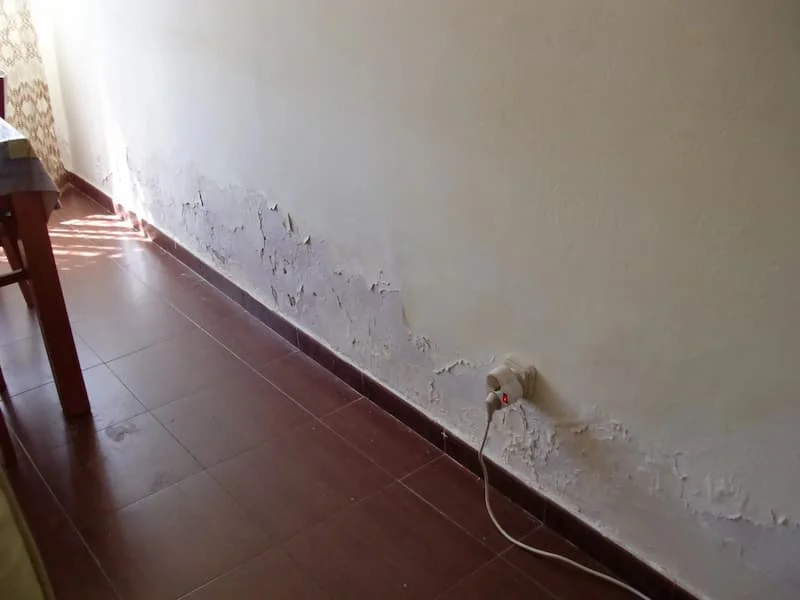 humedad por capilaridad en pared